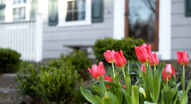 Spring Sellers Have an Edge. Here’s Why. Simplifying The Market